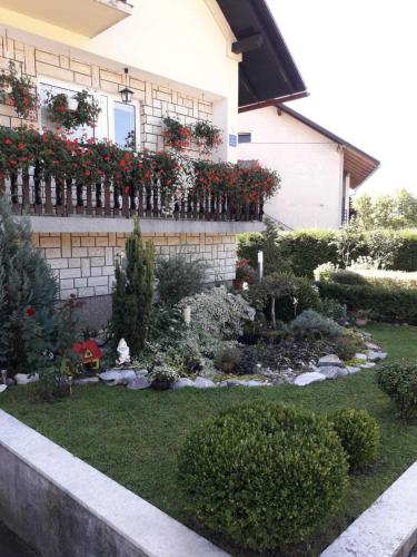 Apartment Petra – Photos 2