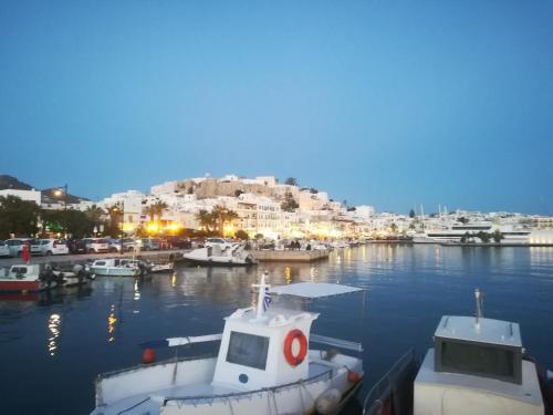 Imagen de la galería de STUDIOS THISEAS, en Naxos Chora