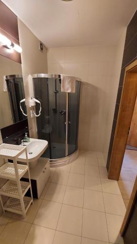 a bathroom with a shower and a sink at Jasiowe Turnie Apartamenty in Kościelisko