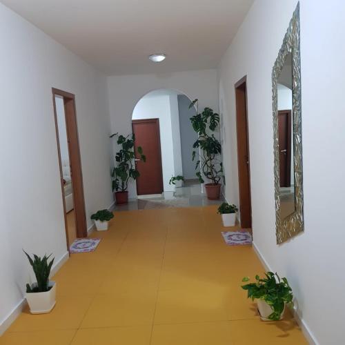 a hallway with potted plants and a mirror at Hotel Restorant Genti Peshkatari in Orikum