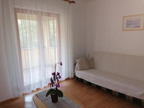 Apartments Maria