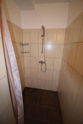 a bathroom with a shower with a shower head at City Core Apartment in Koper