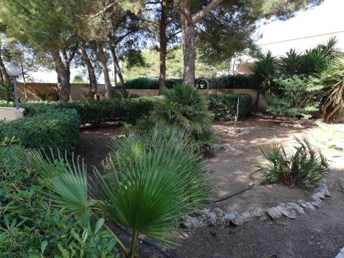 a garden with a bunch of plants and trees at Paradiso House in Torre Ovo