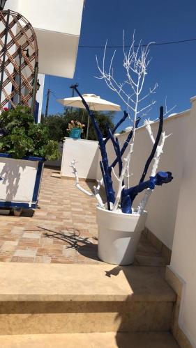 a potted plant sitting on the side of a building at Stolidi in Adamas