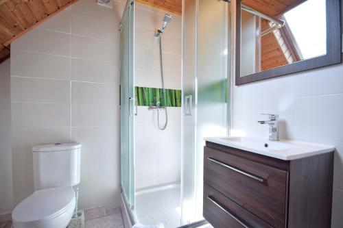 a bathroom with a shower and a toilet and a sink at Dom Wczasowy Radość in Rewal