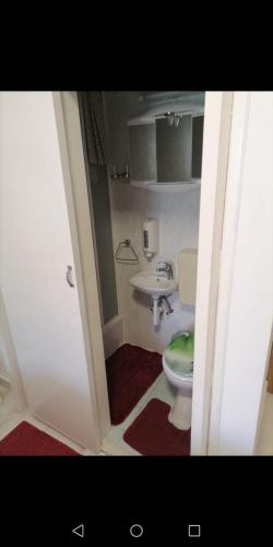 Room Dragica