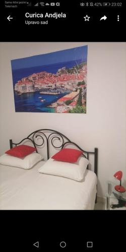 Room Dragica