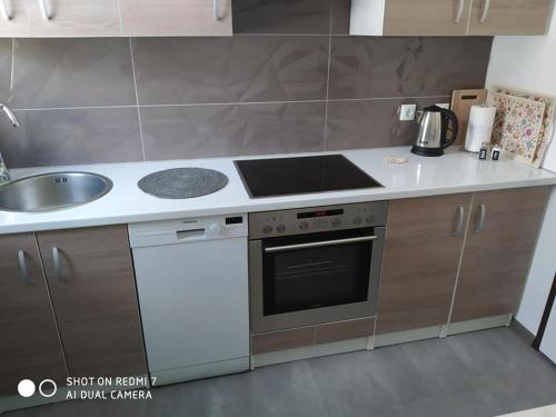 a kitchen with a stove top oven next to a sink at Markaz Apartman Bihac in Bihać