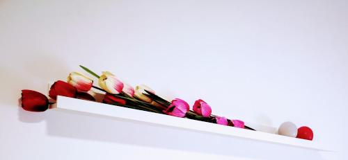 Une bande de fleurs rouges et roses sur une étagère dans l'établissement Hypnos Sleep and Go, à Bénévent