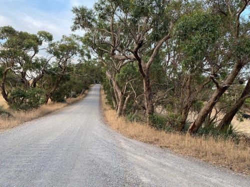a dirt road with trees on either side of it at Old Coach Road Estate in Hindmarsh Valley