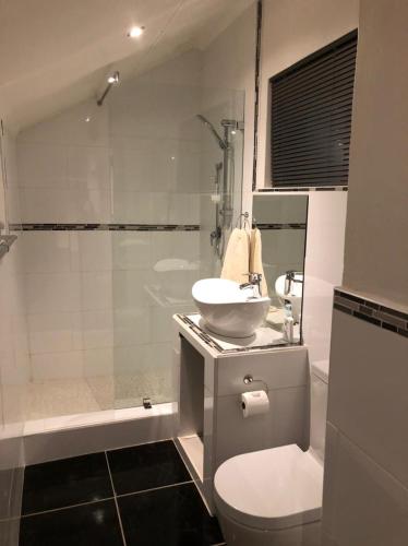a bathroom with a sink and a toilet and a shower at La Chapelle - The Apartment in Montagu