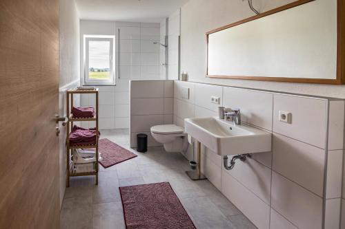 a bathroom with a sink and a toilet at Ferienwohnung Häfele 2 in Bad Wurzach