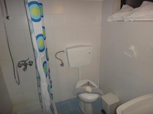 a small bathroom with a toilet and a shower at Amfi Apartments in Kardamaina