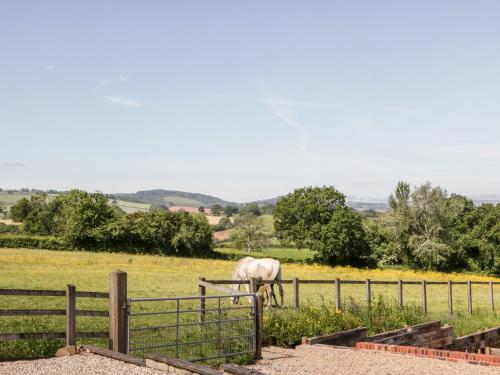 a white horse grazing in a field behind a fence at The Stables in Taunton
