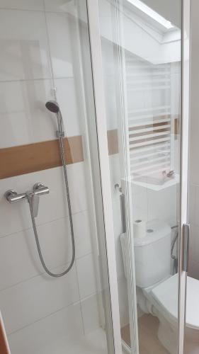 Koupelna v ubytování pokoj s kuchynì pro tři