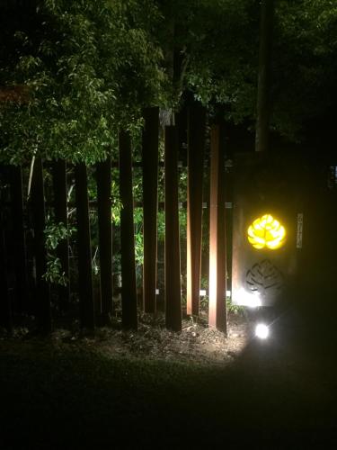 a forest with aooky face projected on a wall at night at Buffalo Motel and Country Retreat in Porepunkah