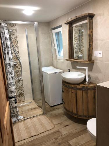 a bathroom with a sink and a shower and a toilet at Sklípek-chatka Bella Moravia in Dobré Pole