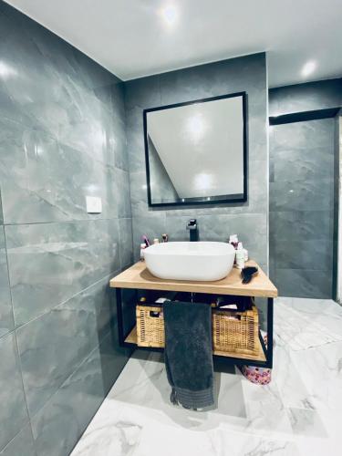 a bathroom with a sink and a mirror at Apartma Teja-Dekani in Dekani
