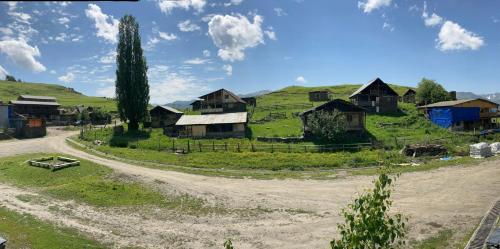 Gallery image of Guest House Gordila in Omalo