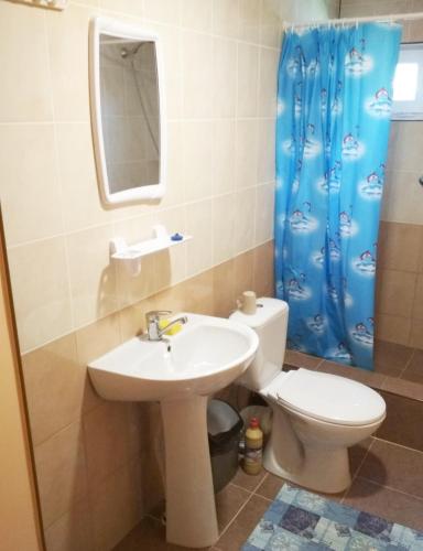 a bathroom with a sink and a toilet and a shower at Цвіт лілії in Szack