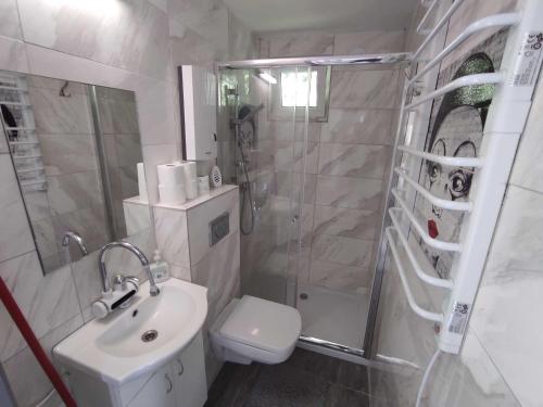 La salle de bains est pourvue de toilettes, d'un lavabo et d'une douche. dans l'établissement Mazury domek całoroczny Pelnik gm Ostróda jezioro las, à Pelnik