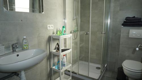 uma casa de banho com um chuveiro, um lavatório e um WC. em Roosevelt Apartments. em Antuérpia