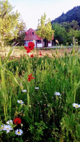 a field of flowers with a house in the background at Krka Fairytale village in Rupe