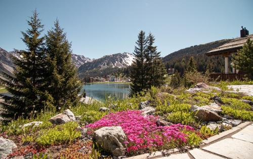 Sans Souci OG - Alpenblick & Obersee Panorama - by Arosa Stay