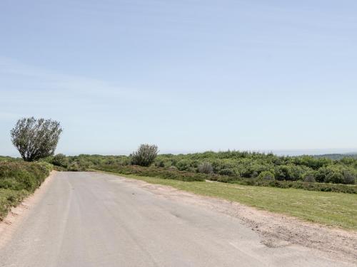 an empty dirt road with trees in the distance at The Outlook in Taunton