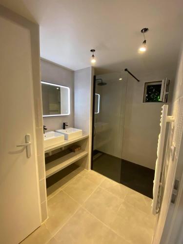 une salle de bain avec une douche, un lavabo et un miroir dans l'établissement Appartement du Centre, à La Teste-de-Buch