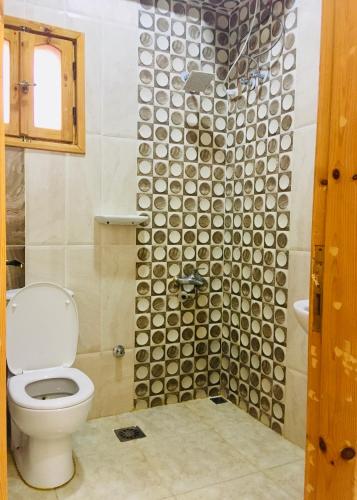 a bathroom with a toilet and a shower at Villa 22 in Dahab