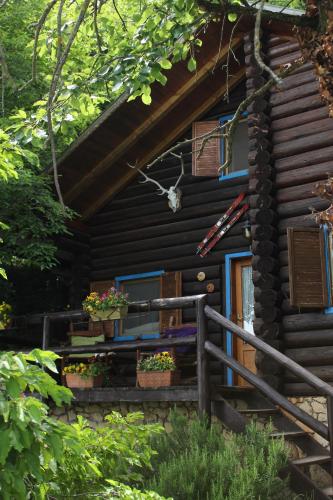 Gallery image of B&B Le Corone - Chalet nel Bosco in Cavalo