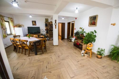 Gallery image of Pensiunea Dealul cu Melci in Vidra