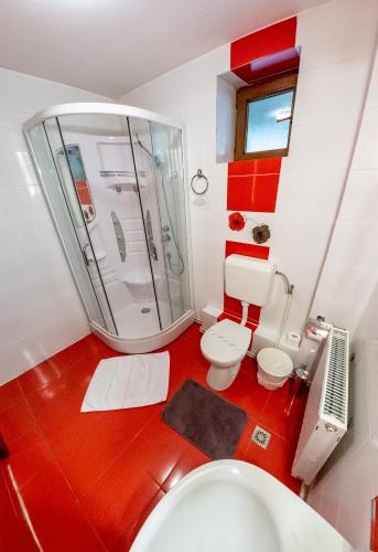 Un baño de Valea lui Liman