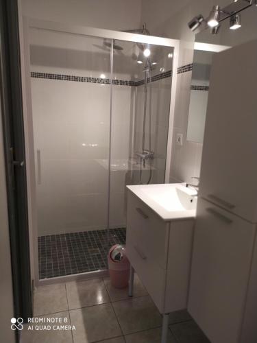 bagno con doccia, lavandino e specchio di Domaine Moulin D' Elemiah a Gémozac
