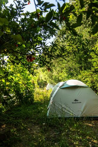 a white tent sitting in the grass under trees at Camping Jungle in Borsh in Borsh