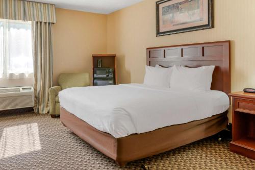 a hotel room with a large bed and a window at Comfort Inn Traverse City in Traverse City