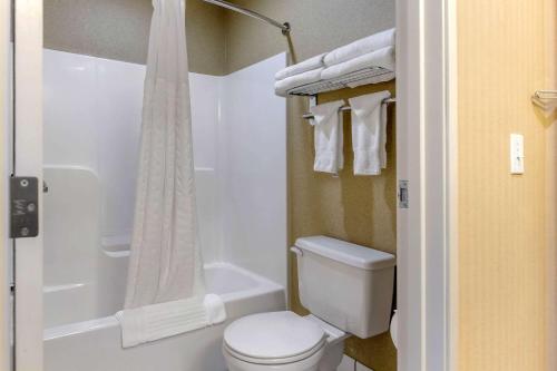 a bathroom with a white toilet and a shower at Comfort Inn Traverse City in Traverse City