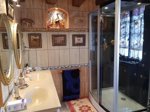 une salle de bain avec douche et lavabo dans l'établissement Chenonceau Amboise équitation beauval, à Civray-de-Touraine