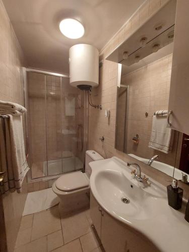 a bathroom with a toilet and a sink and a shower at Guest house Paola in Primošten