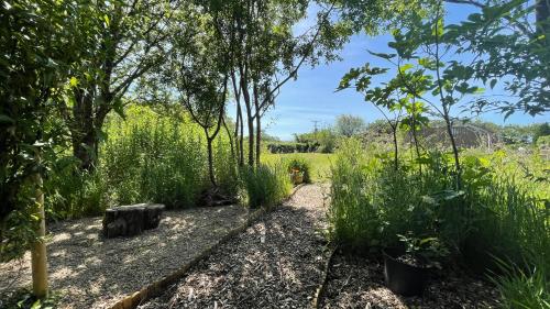 a garden with trees and plants in a field at Moorview House in Bideford