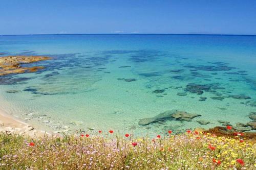 a view of the ocean from a beach with flowers at Apartment - La dolce vita - where dreams come true in Valledoria