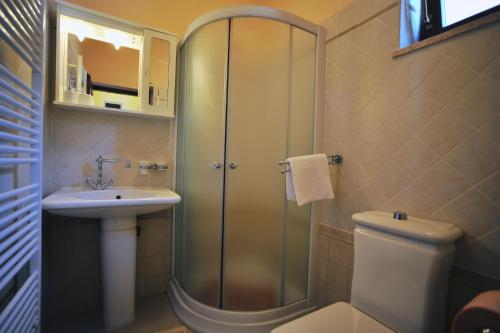 a bathroom with a shower and a sink and a toilet at Apartment Solea in Drenje