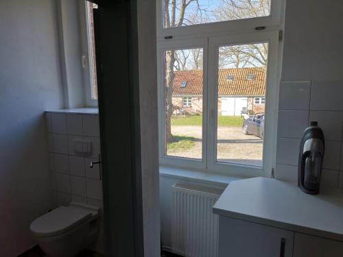 a bathroom with a toilet and a window at Gutshaus Thorstorf FeWo Wismar in Thorstorf