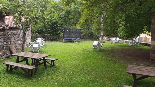 two picnic tables in a yard with animals behind them at La Casa Vieja en Valdeón in Soto de Valdeón