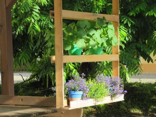 Κήπος έξω από το Agriturismo Rivieraoglio