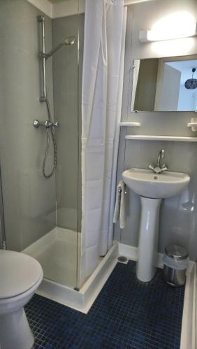 a bathroom with a shower and a sink and a toilet at Le Loubens in Arette