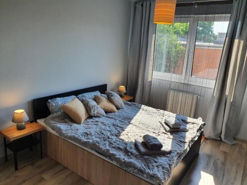 1 dormitorio con cama con almohadas y ventana en Cozy Apartment Gdynia, en Gdynia