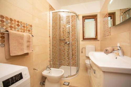 a bathroom with a shower and a toilet and a sink at Apartmani Marica in Plomin