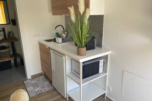 a kitchen with a counter with a microwave and a plant at Studio Collobrières Vue sur village in Collobrières